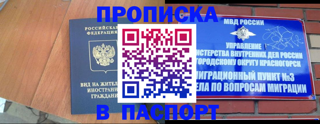 найти адрес прописки в Амурской области